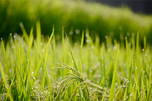 조합원과의 관계