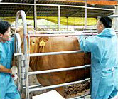 조합원 지원사업